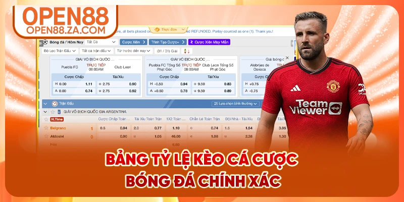 Bảng tỷ lệ kèo cá cược bóng đá chính xác