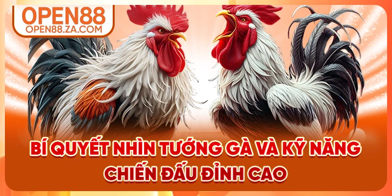 Bí quyết nhìn tướng gà và kỹ năng chiến đấu đỉnh cao