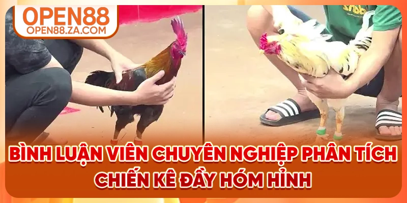 Bình luận viên chuyên nghiệp phân tích chiến kê đầy hóm hỉnh