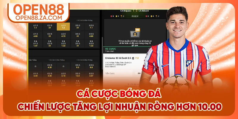 Cá Cược Bóng Đá