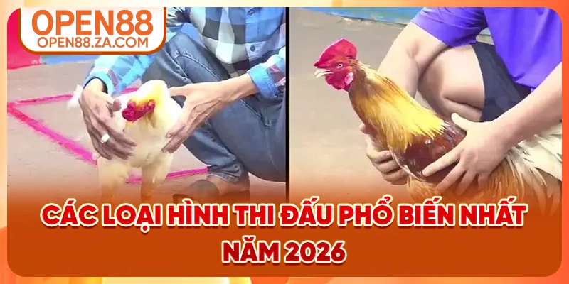 Các loại hình thi đấu phổ biến nhất năm 2026