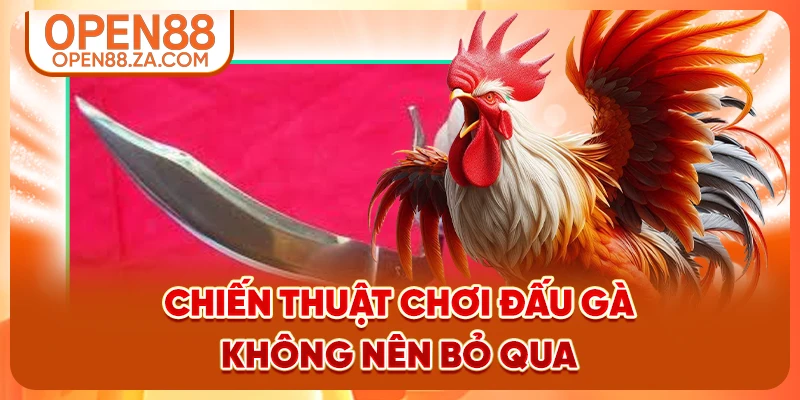 Chiến thuật chơi đấu gà không nên bỏ qua