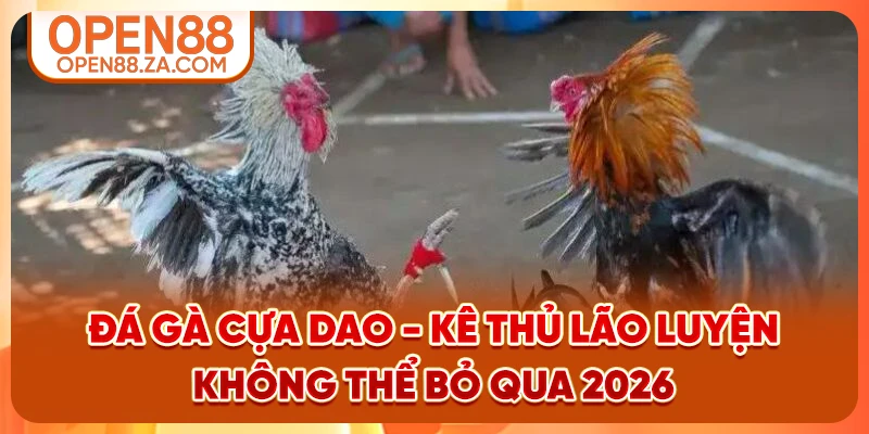 Đá Gà Cựa Dao