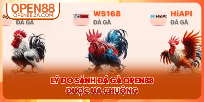 Lý do sảnh đá gà OPEN88 được hội viên ưa chuộng