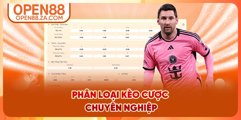 Phân loại kèo cược chuyên nghiệp