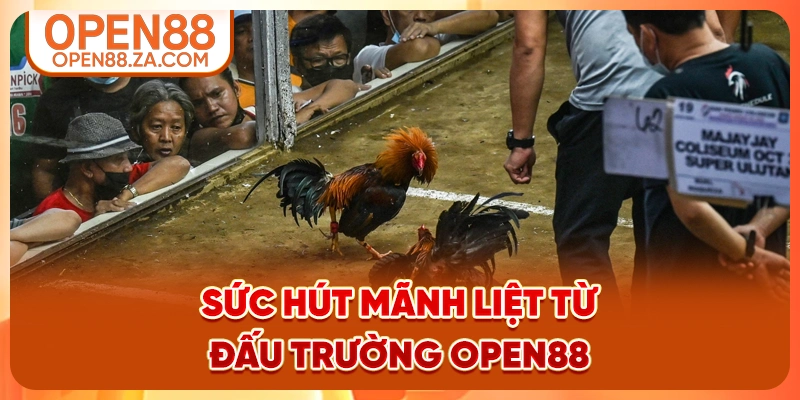 Sức hút mãnh liệt từ đấu trường OPEN88