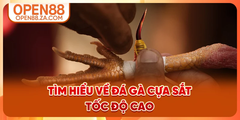 Tìm hiểu về đá gà cựa sắt tốc độ cao